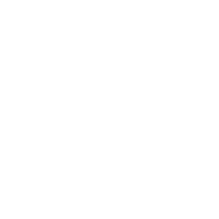 Chubb consultant insurance