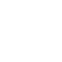 Travelers insurance for consultants